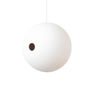 Suspended Birdball Bird House, thumbnail 8 of 11