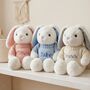 Personalised Baby Bunny With Jumper, thumbnail 1 of 6