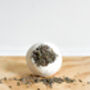 The Relaxing Bath Bomb, thumbnail 4 of 5