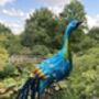 Elegant Free Standing Peacock Ornament, thumbnail 9 of 10