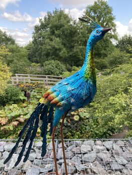 Elegant Free Standing Peacock Ornament, 9 of 10