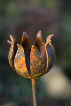 Rusty Metal Garden Flower Ornament, 3 of 3