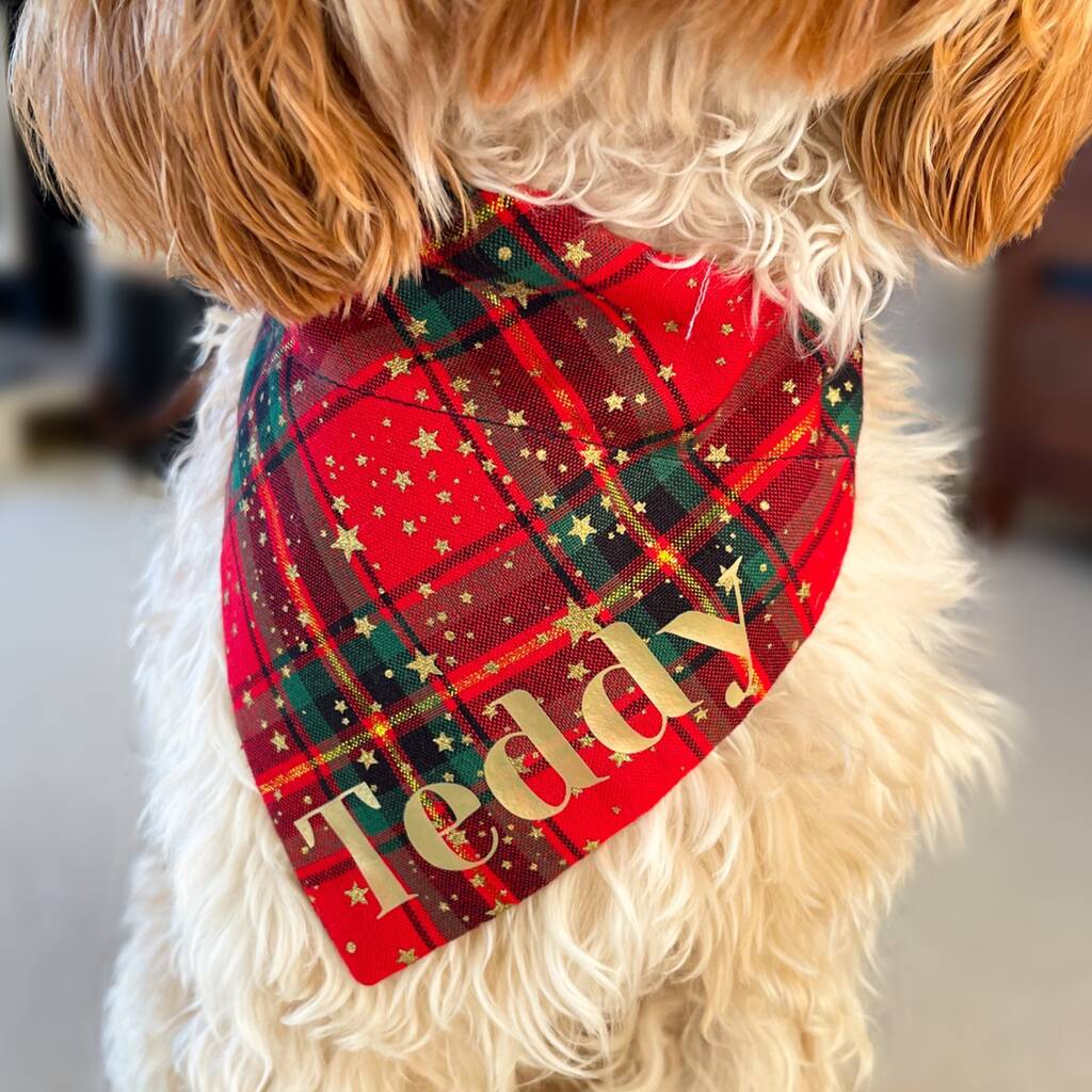 Personalised Christmas Dog Bandana By Nine Designs