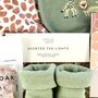 Giraffe Safari New Baby And New Parents Gift Set, thumbnail 7 of 8