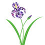 Personalised Iris Button Picture, thumbnail 2 of 3