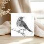 Thrush Bird – Hand Drawn Nature Greeting Card Illustration, thumbnail 1 of 5