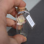 Tiny Bottle Of Blossom With Personalised Message, thumbnail 9 of 10