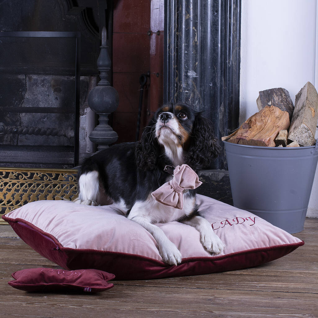 personalised large dog beds