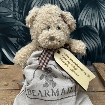 Personalised Teddy Bear In A Bag, 7 of 8