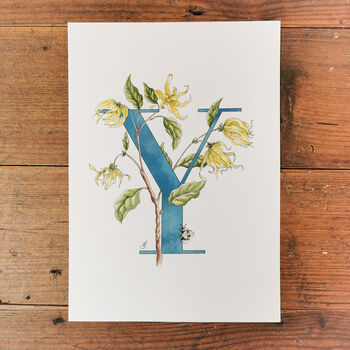 Y Is For Ylang Ylang Letter Print, Personalised, 3 of 9