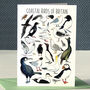 Coastal Birds Of Britain Art Blank Greeting Card, thumbnail 1 of 11