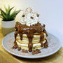 Chocolate Chip Pancake Mix, thumbnail 2 of 2
