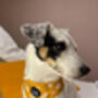 Sunshine Daisy Dog Harness, thumbnail 4 of 8