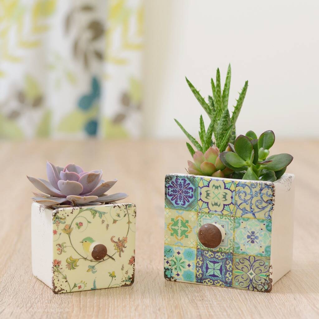 Ceramic Drawer Planter With Choice Of Plants By Dinga Ding