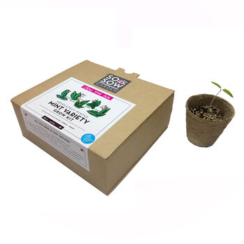 Mint Variety Grow Your Own Kit, 3 of 6