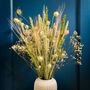 Gypsophila Dried Flower Bouquet “Tico”, thumbnail 1 of 7
