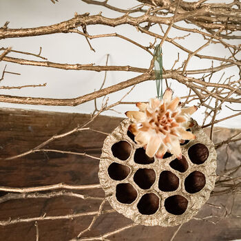 Three Dried Lotus Pendant Christmas Ornaments Gift Box, 2 of 4