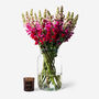 Magenta Snapdragon Fresh Bouquet, thumbnail 1 of 4