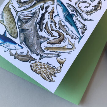 Sharks Of Britain Blank Greeting Card, 3 of 5