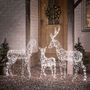 Duchy Dual Colour Micro LED Light Up Reindeer Family, thumbnail 4 of 4
