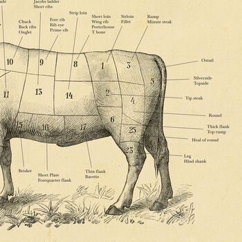 British Beef Cut Cow Print, Butcher Chart, 9 of 10