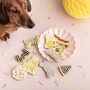 Dean The Dinosaur Celebration Iced Dog Biscuit Set, thumbnail 1 of 1