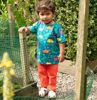 Dinosaur T Shirt For Kids| Certified Organic Cotton, 3 of 9