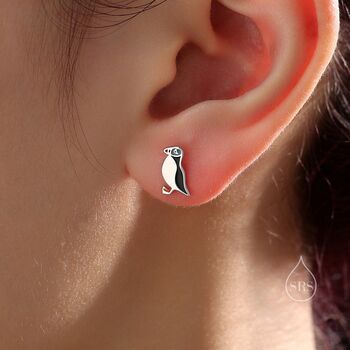 Sterling Silver Enamel Puffin Bird Stud Earrings, 11 of 12