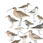 Wading Bird Watercolour Print, thumbnail 5 of 6