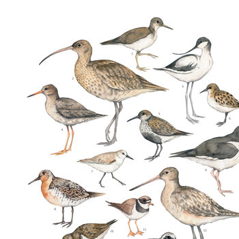 Wading Bird Watercolour Print, 5 of 6