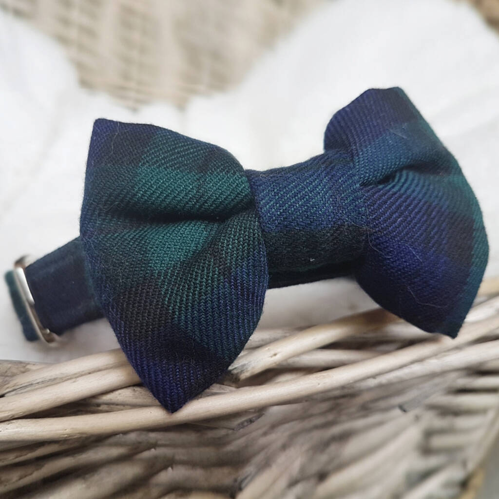 Tartan Black Watch Check Dog Collar With Bow Tie By Ollie & Co