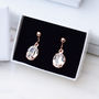 Rose Gold Plated Oval Crystal Clip On Earrings, thumbnail 1 of 5