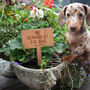 Personalised Beware Of The Dog Solid Cherry Wood Sign, thumbnail 1 of 8