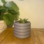 3D Printed Bubble Plant Pot – Gardening Gifts, thumbnail 3 of 9