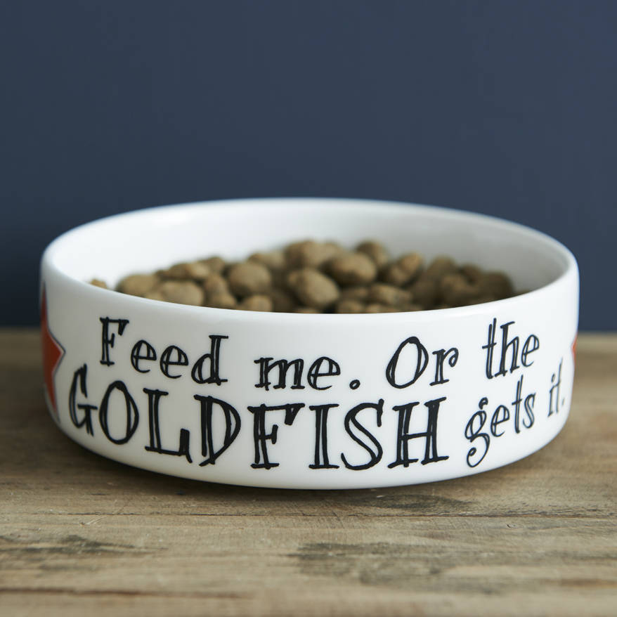 'Feed Me Or The Goldfish Gets It' Cat Bowl, 1 of 3