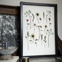 A3 Pressed Flower Art Botanical Wall Art In Black Frame, thumbnail 1 of 7