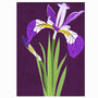 Tropic Night Iris Giclee Art Print / Wall Art, Bright, Floral, Botanical, Home Decor, Interior, Illustration, A4 / A3, thumbnail 2 of 3