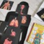 Human Anatomy Learning Cards And Gift Set, thumbnail 8 of 12