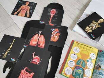 Human Anatomy Learning Cards And Gift Set, 8 of 12