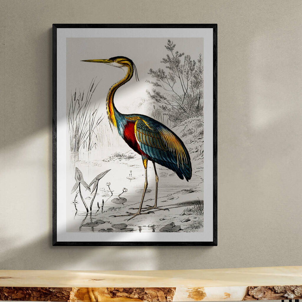 Vintage Crane Heron Illustration Art Print By Ink North