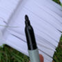 Pack Of Garden Pot Plant Labels With Marker Pens, thumbnail 3 of 8