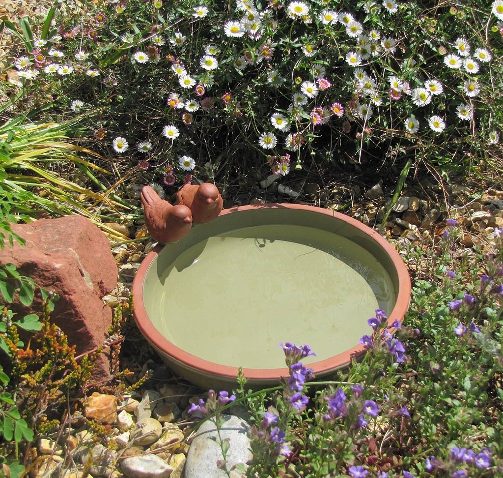 green glazed bird bath by garden selections