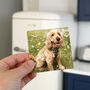 Personalised Dog Father's Day Photo Magnet Card, thumbnail 5 of 5