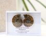 Cleoniceras Ammonite Fossil Pair, thumbnail 9 of 10