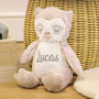 Personalised Owl Teddy Bear Toy Gift For Baby, thumbnail 2 of 8