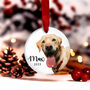 Personalised Dogs First Christmas Bauble Decoration, thumbnail 9 of 10