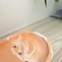 Orange Marbled Draining Soap Dish, thumbnail 5 of 5