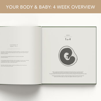 Bump Journal – Pregnancy Journal, 40 Weeks Of Memories, 9 of 12