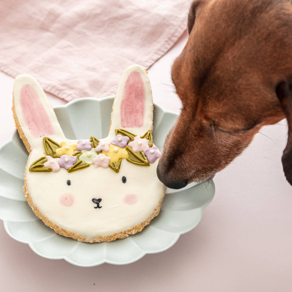 Floral Bunny Crown Easter Iced Dog Biscuit By Fluff & Crumble