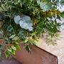 The Foliage And Herb Arranging Craft Box, thumbnail 1 of 3